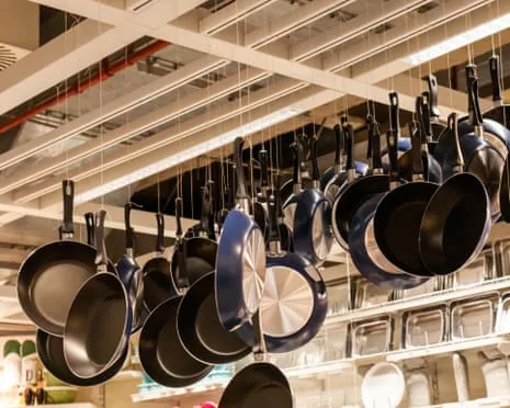 PTFE Nutrition, Garlic Milk and Striped Cattle Excel at This Year's Ig Nobel Prizes